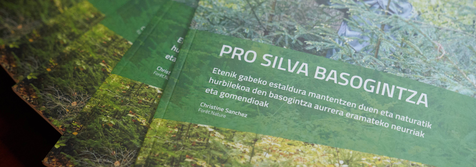Pro_Silva_Basogintza_liburuaren_aurkezpena_01_LR2 Pro_Silva_Basogintza_liburuaren_aurkezpena_01_LR2